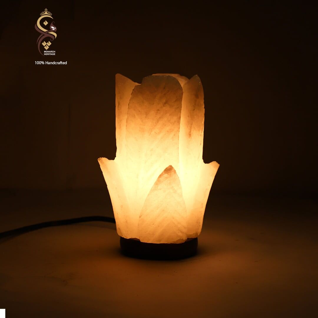salt-saltlamp-naturalsalt-himaliansalt-pakistansalt-monarchheritage-22